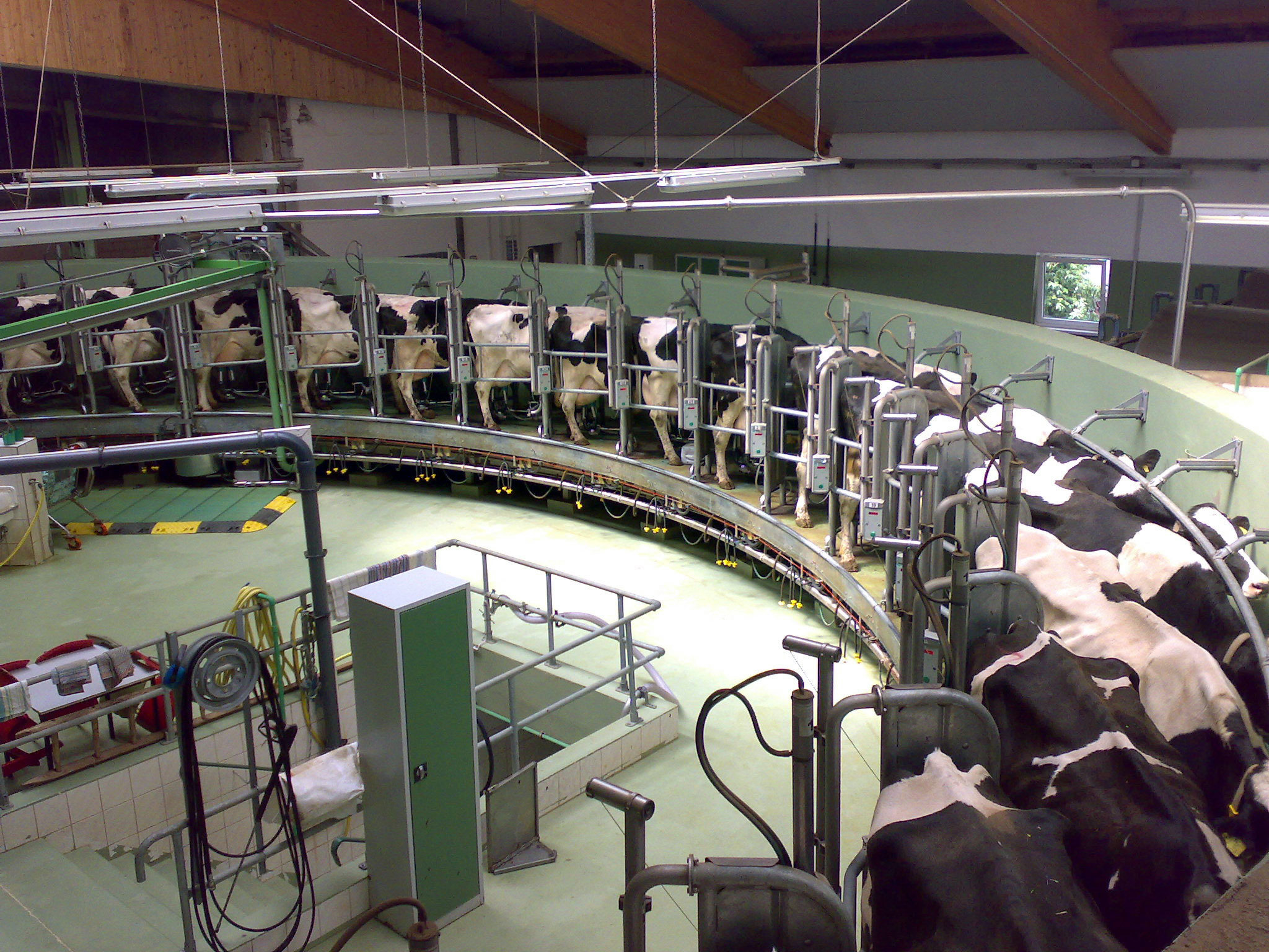 super-dairy_wikipedia
