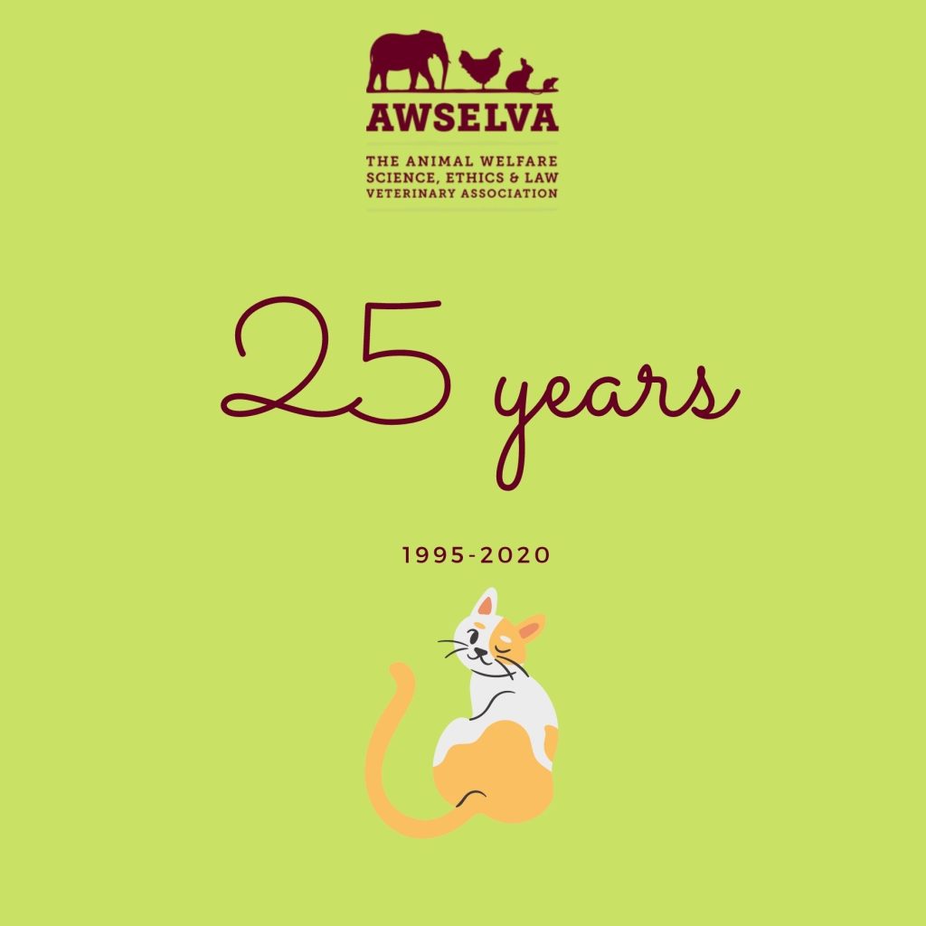 25 years anniversary