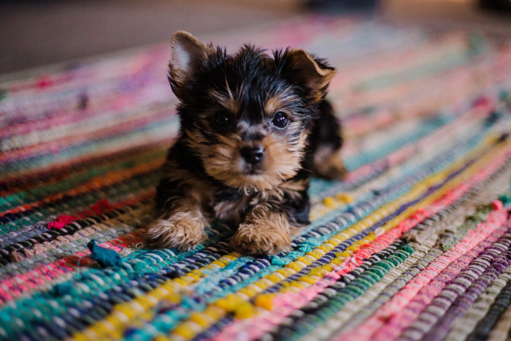 hannah-grace-fk4timldff0-unsplash