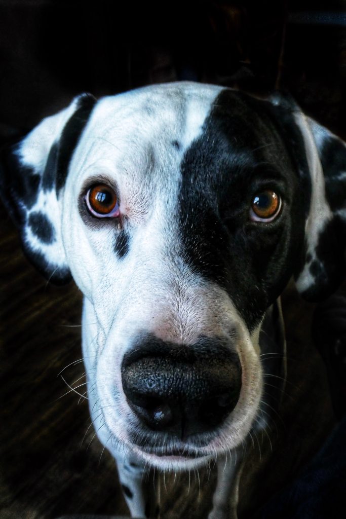 nick-fewings-qkoh3iaqzaw-unsplash