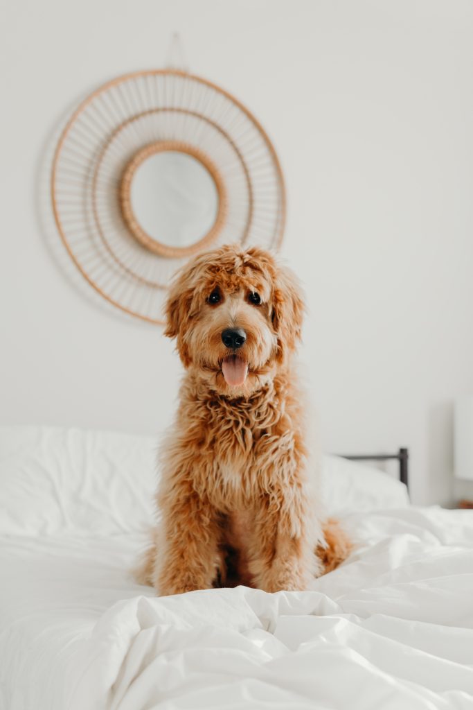brooke-cagle-ntm4c2lcwxq-unsplash