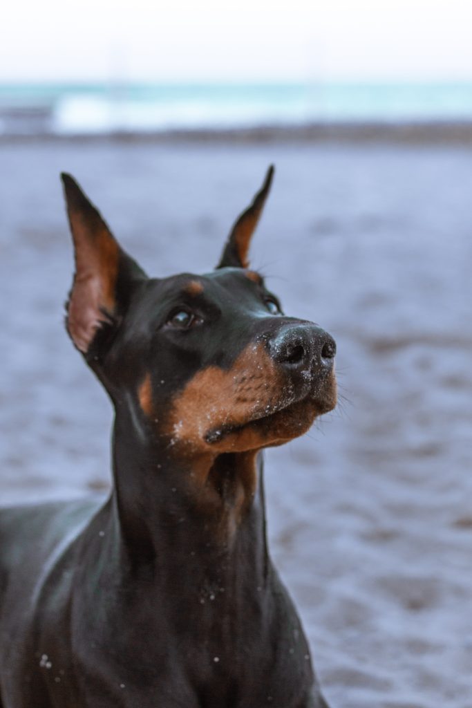 anna-kozakova-fbi3fyj2sn0-unsplash
