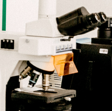 research image