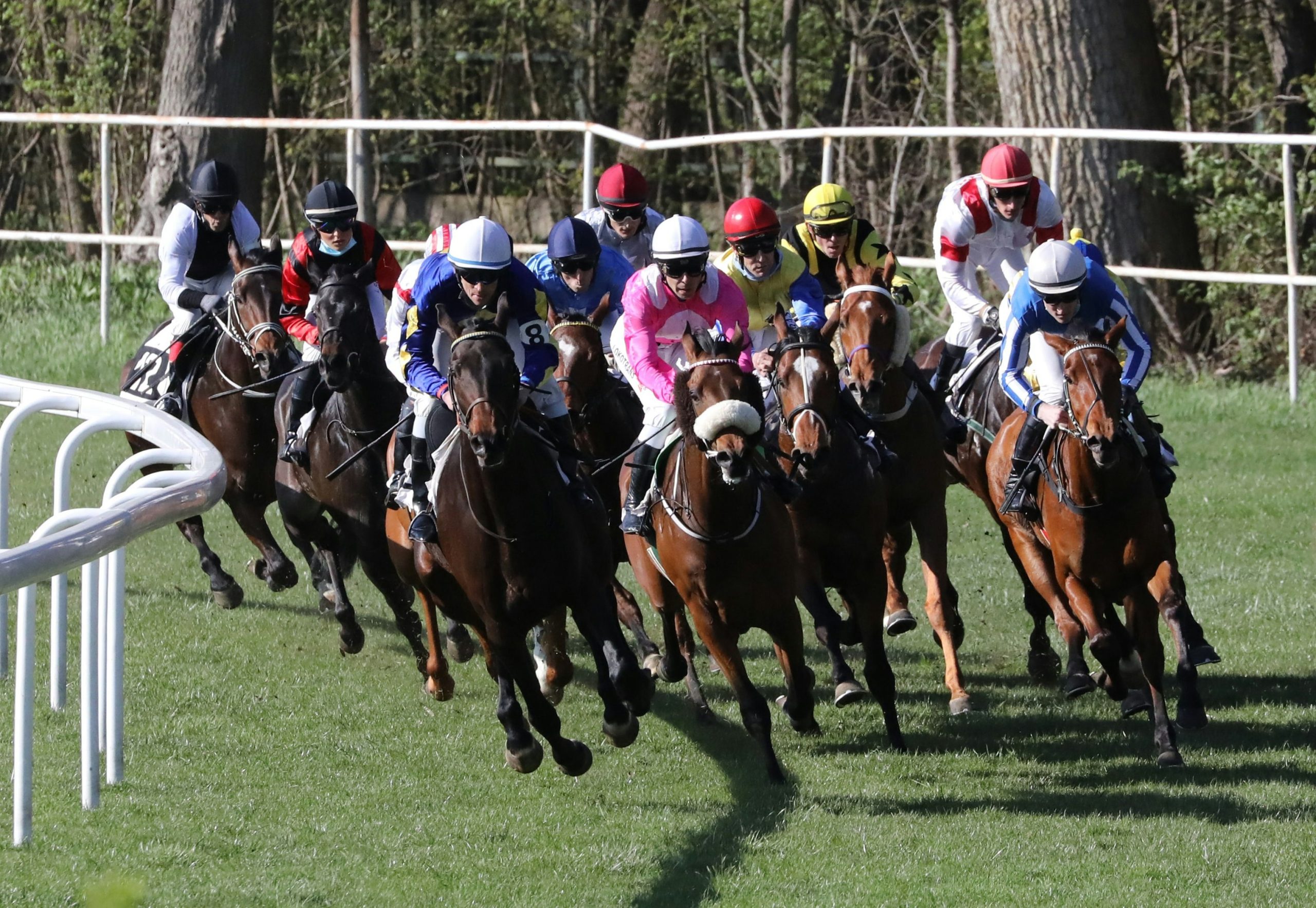 How horse racing must self-regulate to maintain its social licence in a changing welfare landscape