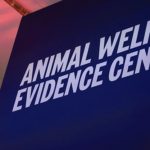 Animal Welfare Evidence Centre publicly launches